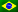 Portugués de Brasil